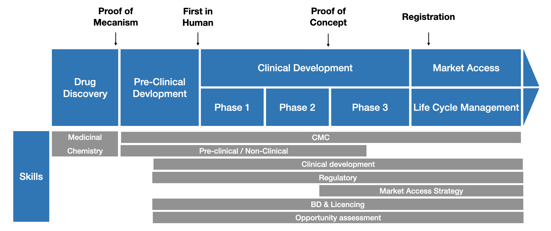 Drug Development Strategy